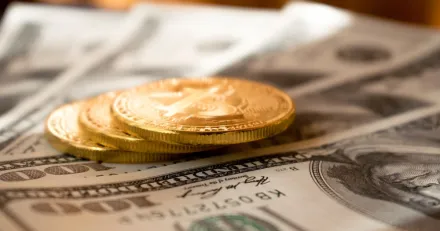 1 Introduktion High Quality