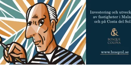 Investering och utveckling av fastigheter i Malaga och pa Costa del Sol