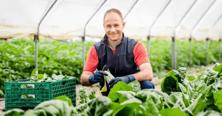 Teckna aktier i Oboya