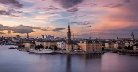 3. Historik och aktorer