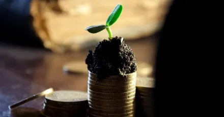 Bakgrund och introduktion