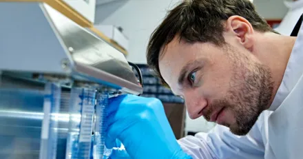 AcouSorts teknik forenklar varden