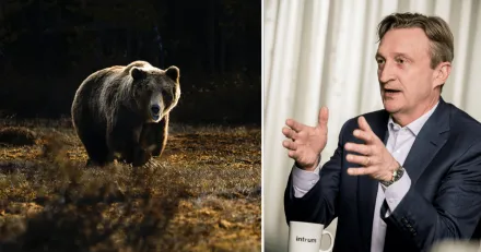 Blankare har tckt sig i Intrum