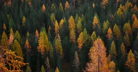 +85 p 6 mnader Har denna hllbara fond mera att ge High Quality