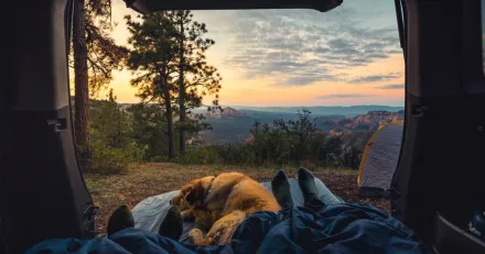 Dometic tacka fr vinsten High Quality