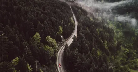 Spekulativt kp till grn nykomling