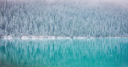 Canada Goose Hur klarar man vintern