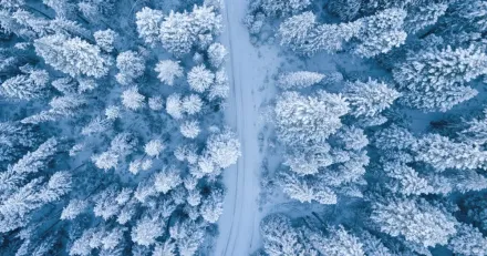 Klimator Vagvisande nykomling