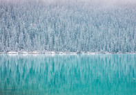 Canada Goose – Hur klarar man vintern?