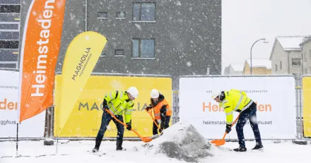 Magnolia Bostad Starkaste ret ngonsin