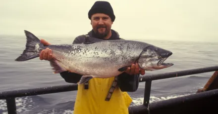 Market Buzz Atlantic Sapphire och Telenor