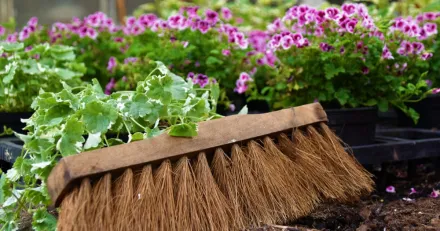 Dags for varstadning