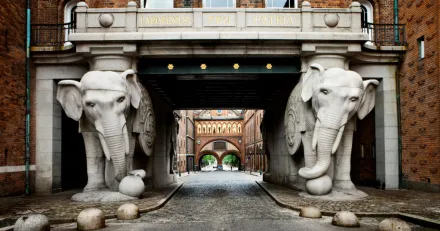 Market Buzz Kindred och Carlsberg