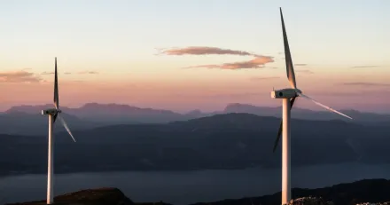 Market Buzz Balder och Arise