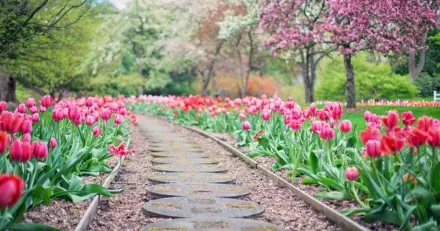 Market Buzz Green Landscaping och Elekta