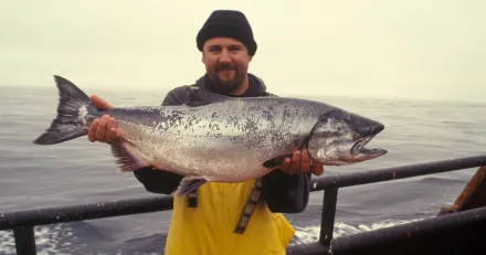 Market Buzz Trianon och Grieg Seafood