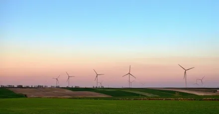 Small Cap Gomero rusade efter ramavtal