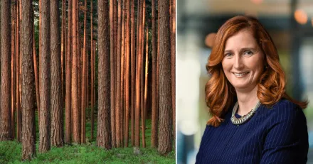 Teknisk analys av Stora Enso. Hller stdet