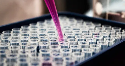 Boule Snart tillbaka pa tillvaxtbanan