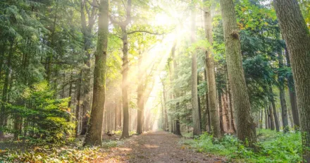 Dags for motreaktion i SCA B