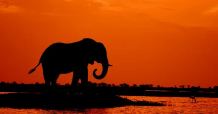 Small Cap Africa Resources dagens vinnare