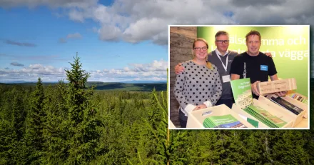 Starkt intresse for trabyggande gynnar IsoTimber