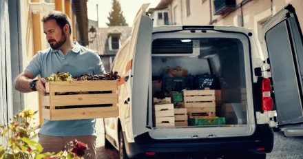 Hall koll pa denna formation i Dometic