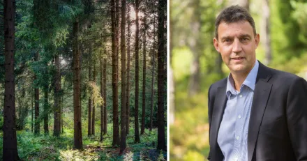 SCA forcerar motstand