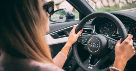 SinterCast Tillbaka i hogform