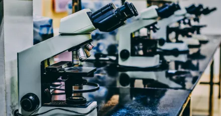 Small Cap Bioextrax dagens raket