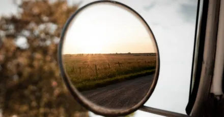 Veckan i backspegeln v31