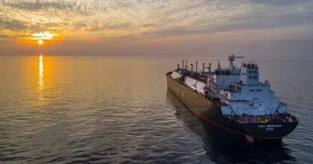 Market Buzz Nanoform och Flex LNG