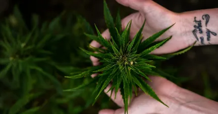 Stenocare Ett steg narmare visionen