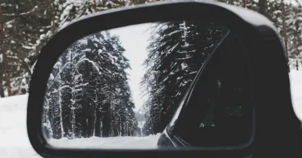 Veckan i backspegeln v 49