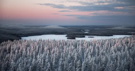 Small Cap Kursrally i Arcic Minerals