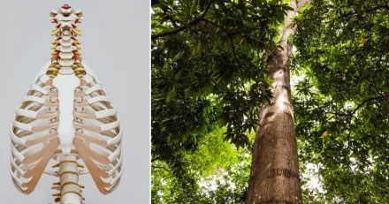 Vicore Pharma vinnare efter analytikerkommentar