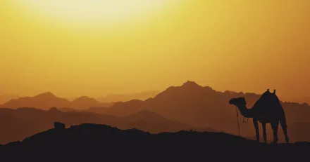 JPM Emerging Middle East