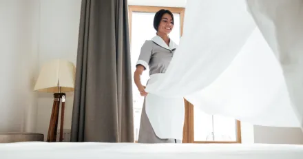 Koplage i Electrolux Professional