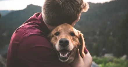 Petco Health and Wellness