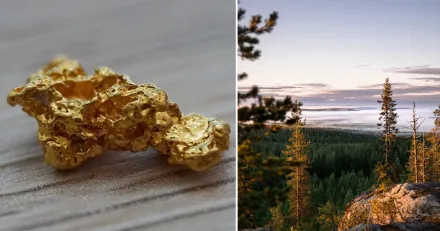 Spannande setup i Northgold