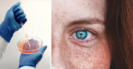 Upp till bevisk for Bico Group Kurslyft kan vanta