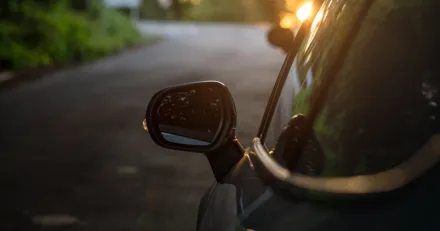 Veckan i backspegeln v19