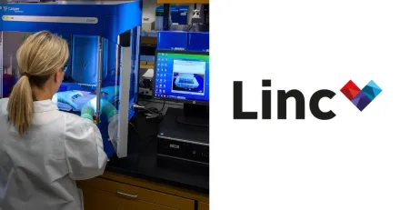 Antligen kopfloden i Linc