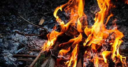 Firefly Riktigt bra forsta kvartal