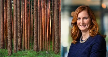 Haller grundtrenden i Stora Enso