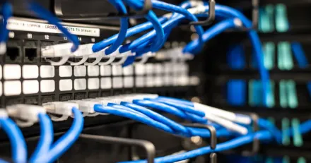 Alcadon inte annu redo att ta nasta steg