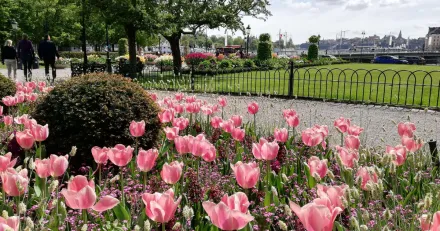 Green Landscaping Kopvard igen