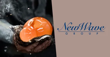 Nytt rekordkvartal for New Wave