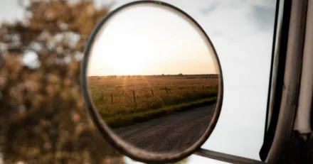 Veckan i backspegeln v31 2