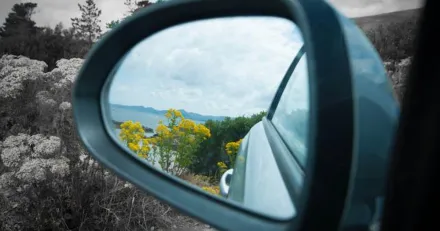 Veckan i backspegeln v32 2